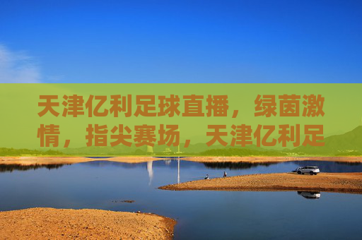 天津亿利足球直播，绿茵激情，指尖赛场，天津亿利足球直播，绿茵激情指尖赛场