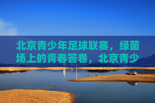 北京青少年足球联赛，绿茵场上的青春答卷，北京青少年足球联赛，绿茵场上的青春答卷