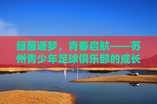 绿茵逐梦，青春启航——苏州青少年足球俱乐部的成长之路，绿茵逐梦，青春成长——苏州青少年足球俱乐部之路
