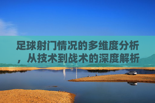 足球射门情况的多维度分析,从技术到战术的深度解析,足球射门,技术到战术的多维度深度解析