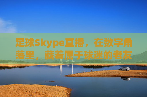 足球Skype直播,在数字角落里,藏着属于球迷的老友记,数字角落的足球老友记,Skype直播里的球迷时光