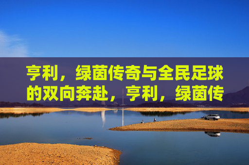 亨利,绿茵传奇与全民足球的双向奔赴,亨利,绿茵传奇与全民足球的双向奔赴