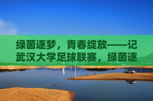 绿茵逐梦，青春绽放——记武汉大学足球联赛，绿茵逐梦，青春绽放——武汉大学足球联赛