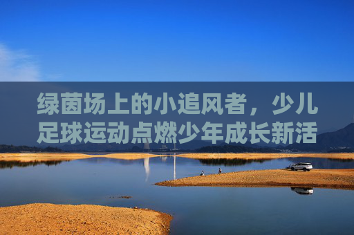 绿茵场上的小追风者，少儿足球运动点燃少年成长新活力，绿茵小追风，足球点燃少年成长新活力