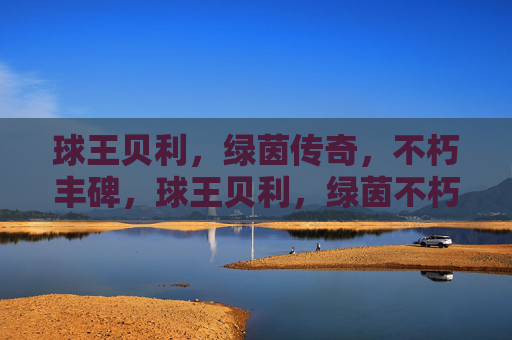 球王贝利,绿茵传奇,不朽丰碑,球王贝利,绿茵不朽传奇