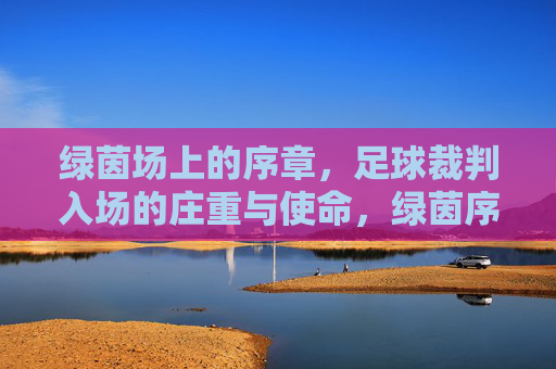 绿茵场上的序章,足球裁判入场的庄重与使命,绿茵序章,裁判入场的庄重使命