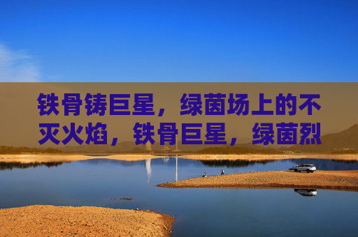 铁骨铸巨星,绿茵场上的不灭火焰,铁骨巨星,绿茵烈焰