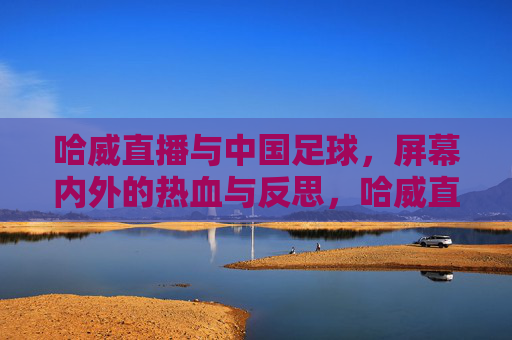 哈威直播与中国足球，屏幕内外的热血与反思，哈威直播与中国足球，屏幕内外的热血与反思