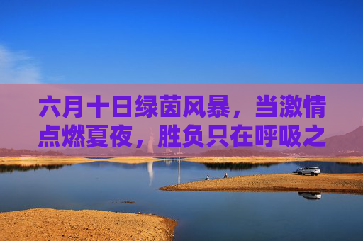 六月十日绿茵风暴，当激情点燃夏夜，胜负只在呼吸之间，六月十日绿茵风暴，夏夜胜负呼吸间