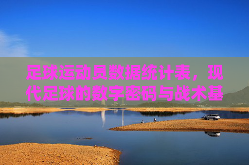 足球运动员数据统计表，现代足球的数字密码与战术基石，足球运动员数据统计表，现代足球的数字密码与战术基石