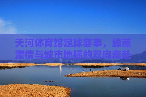 天河体育馆足球赛事，绿茵激情与城市地标的双向奔赴，天河体育馆，绿茵激情与城市地标的双向奔赴