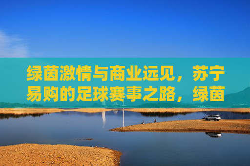 绿茵激情与商业远见，苏宁易购的足球赛事之路，绿茵激情与商业远见，苏宁易购的足球赛事之路