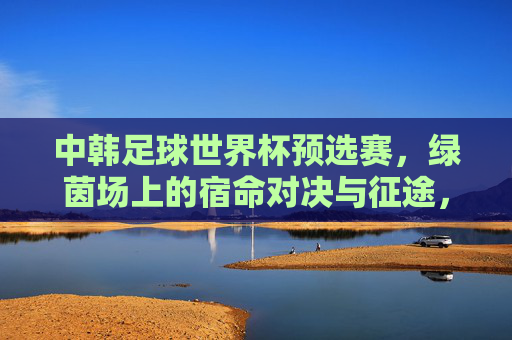 中韩足球世界杯预选赛，绿茵场上的宿命对决与征途，中韩世界杯预选赛，宿命对决的绿茵征途