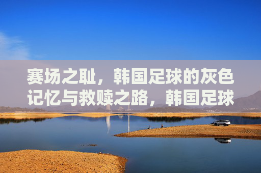 赛场之耻,韩国足球的灰色记忆与救赎之路,韩国足球,赛场之耻与救赎之路