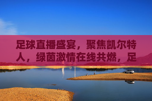 足球直播盛宴，聚焦凯尔特人，绿茵激情在线共燃，足球直播盛宴聚焦凯尔特人，绿茵激情在线共燃