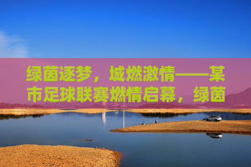绿茵逐梦，城燃激情——某市足球联赛燃情启幕，绿茵逐梦，城燃激情——某市足球联赛燃情启幕