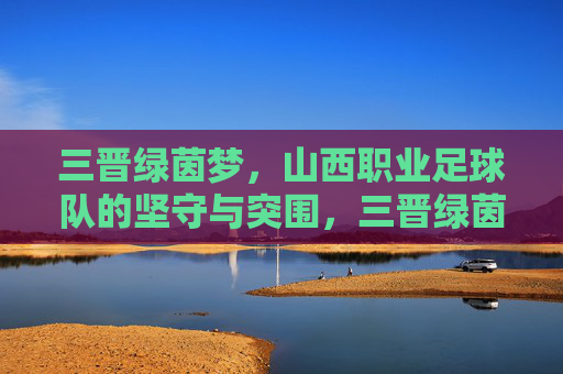 三晋绿茵梦,山西职业足球队的坚守与突围,三晋绿茵梦,山西足球队的坚守与突围