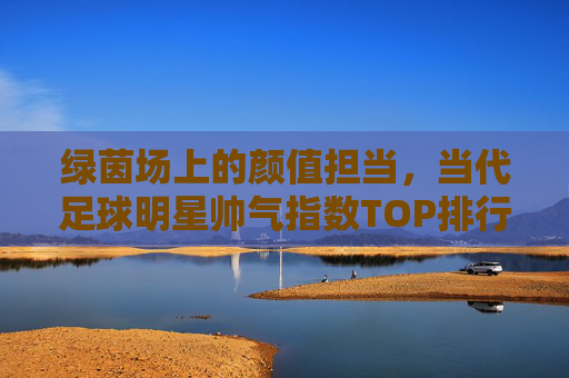 绿茵场上的颜值担当,当代足球明星帅气指数TOP排行