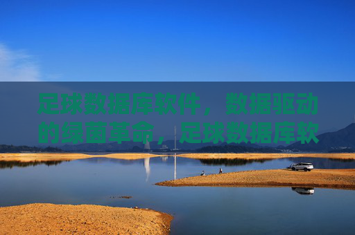 足球数据库软件,数据驱动的绿茵革命,足球数据库软件,数据驱动的绿茵革命