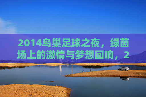 2014鸟巢足球之夜，绿茵场上的激情与梦想回响，2014鸟巢足球之夜，绿茵场上的激情与梦想回响
