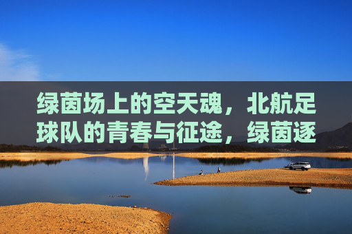 绿茵场上的空天魂，北航足球队的青春与征途，绿茵逐梦空天魂，北航青春正征途