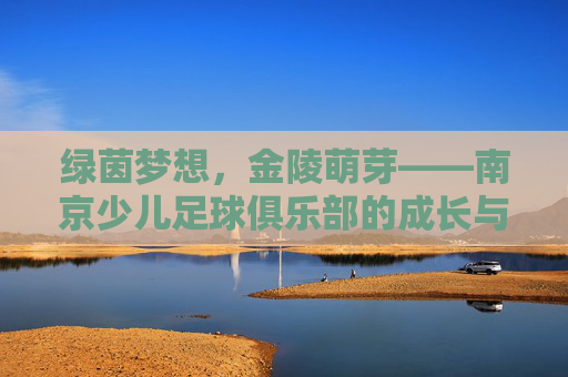 绿茵梦想,金陵萌芽——南京少儿足球俱乐部的成长与希望,绿茵梦想金陵萌芽,南京少儿足球成长与希望