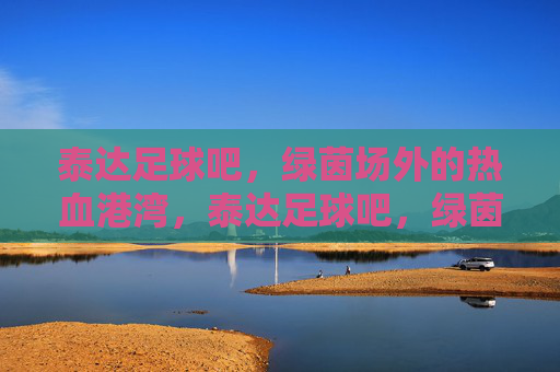 泰达足球吧，绿茵场外的热血港湾，泰达足球吧，绿茵场外的热血港湾