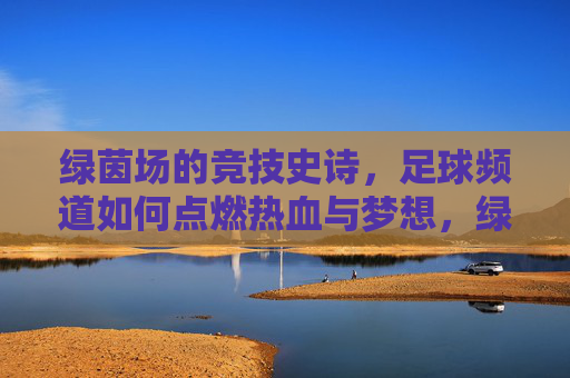 绿茵场的竞技史诗，足球频道如何点燃热血与梦想，绿茵史诗，足球频道的热血燃梦