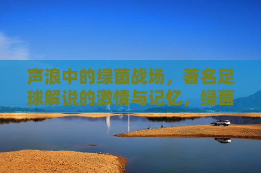 声浪中的绿茵战场,著名足球解说的激情与记忆,绿茵声浪,解说席上的激情与记忆
