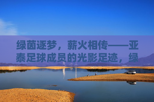 绿茵逐梦,薪火相传——亚泰足球成员的光影足迹,绿茵逐梦薪火传,亚泰足球成员足迹