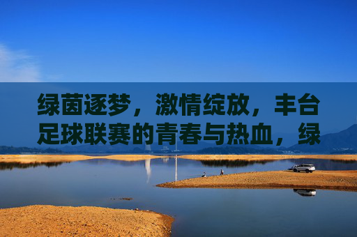 绿茵逐梦，激情绽放，丰台足球联赛的青春与热血，绿茵逐梦，青春热血——丰台足球联赛