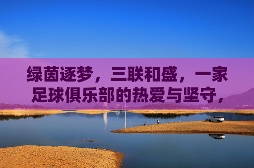 绿茵逐梦,三联和盛,一家足球俱乐部的热爱与坚守,三联和盛,绿茵逐梦的热爱与坚守