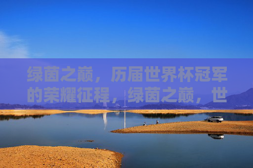 绿茵之巅，历届世界杯冠军的荣耀征程，绿茵之巅，世界杯冠军荣耀征程