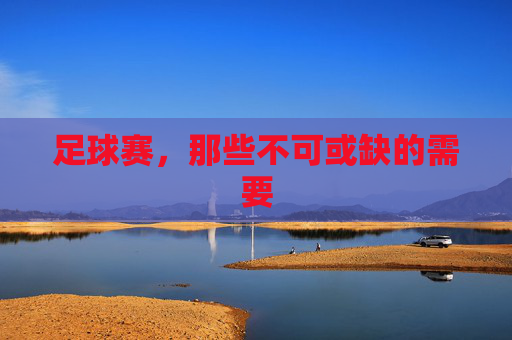 足球赛,那些不可或缺的需要
