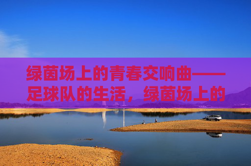 绿茵场上的青春交响曲——足球队的生活，绿茵场上的青春交响曲