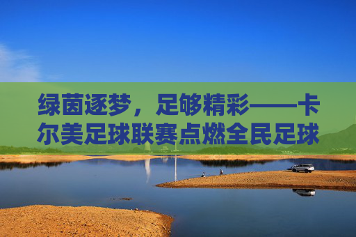 绿茵逐梦,足够精彩——卡尔美足球联赛点燃全民足球热情,卡尔美足球联赛,绿茵逐梦,全民燃情