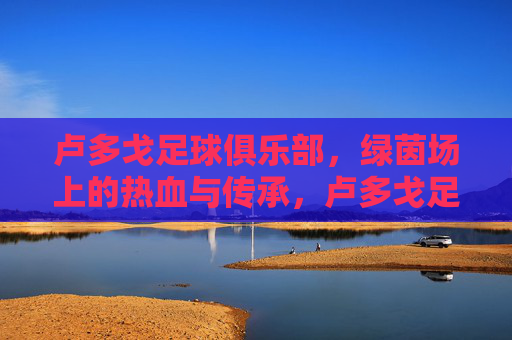 卢多戈足球俱乐部,绿茵场上的热血与传承,卢多戈足球俱乐部,绿茵热血,薪火传承
