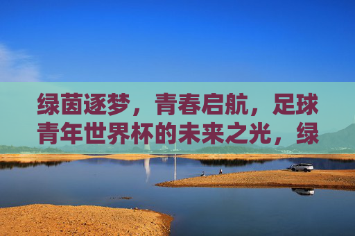 绿茵逐梦,青春启航,足球青年世界杯的未来之光,绿茵逐梦,青春启航,足球青年世界杯未来之光