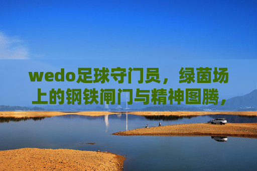 wedo足球守门员,绿茵场上的钢铁闸门与精神图腾,wedo足球守门员,绿茵场的钢铁闸门与精神图腾