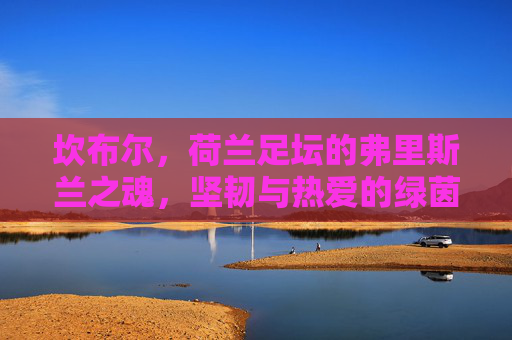 坎布尔,荷兰足坛的弗里斯兰之魂,坚韧与热爱的绿茵传承,坎布尔,弗里斯兰之魂,坚韧热爱的绿茵传承
