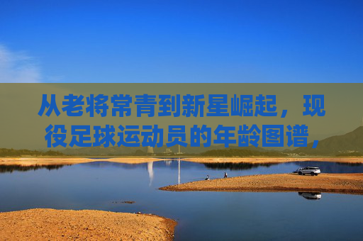 从老将常青到新星崛起，现役足球运动员的年龄图谱，老将常青到新星崛起，现役足球运动员年龄图谱