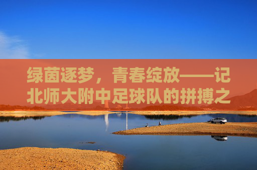 绿茵逐梦,青春绽放——记北师大附中足球队的拼搏之路