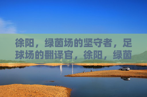 徐阳,绿茵场的坚守者,足球场的翻译官,徐阳,绿茵场的坚守者与翻译官