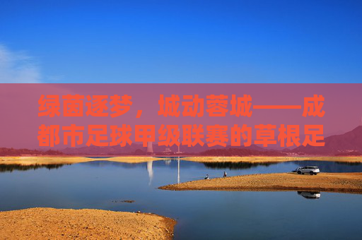 绿茵逐梦,城动蓉城——成都市足球甲级联赛的草根足球热,蓉城草根足球热,绿茵逐梦,城动全城