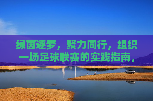 绿茵逐梦,聚力同行,组织一场足球联赛的实践指南,绿茵逐梦,聚力同行,足球联赛实践指南
