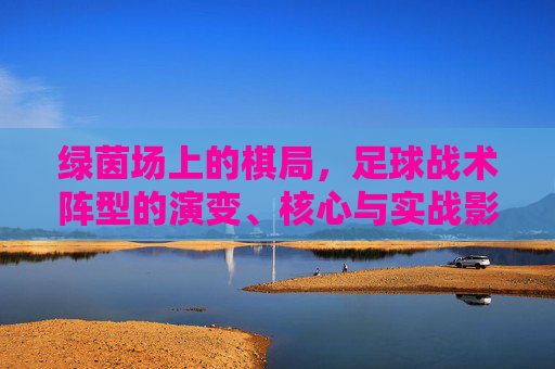 绿茵场上的棋局,足球战术阵型的演变、核心与实战影响,绿茵棋局,足球战术阵型的演变、核心与实战影响