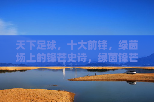 天下足球，十大前锋，绿茵场上的锋芒史诗，绿茵锋芒史诗，天下足球十大前锋
