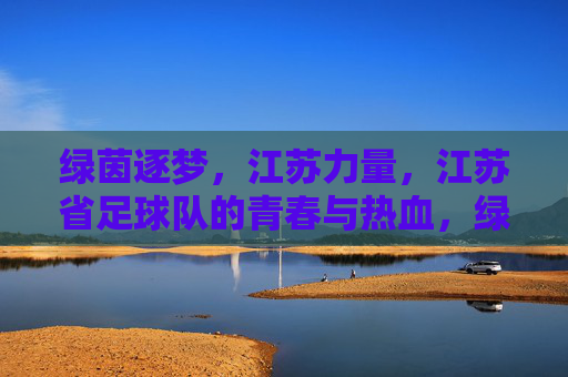 绿茵逐梦,江苏力量,江苏省足球队的青春与热血,绿茵逐梦,江苏足球队的青春热血力量