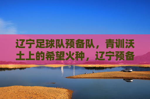 辽宁足球队预备队,青训沃土上的希望火种,辽宁预备队,青训沃土的希望火种