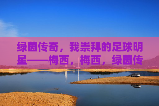 绿茵传奇，我崇拜的足球明星——梅西，梅西，绿茵传奇，我崇拜的足球明星